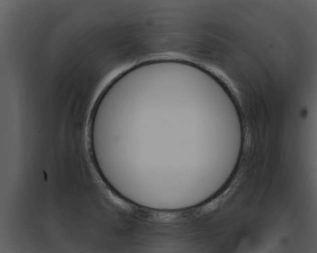 X0000095681278200801081054