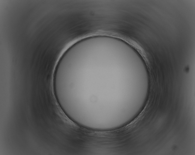 X0000095681280200801081054