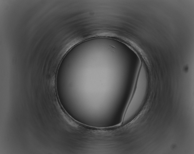 X0000095681281200801081054