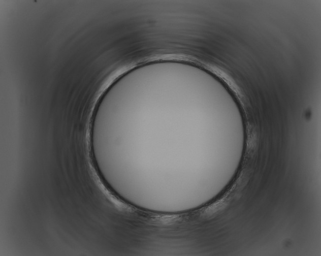 X0000095681282200801081054