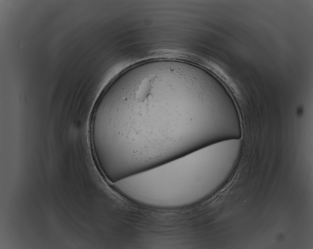 X0000095681283200801081054