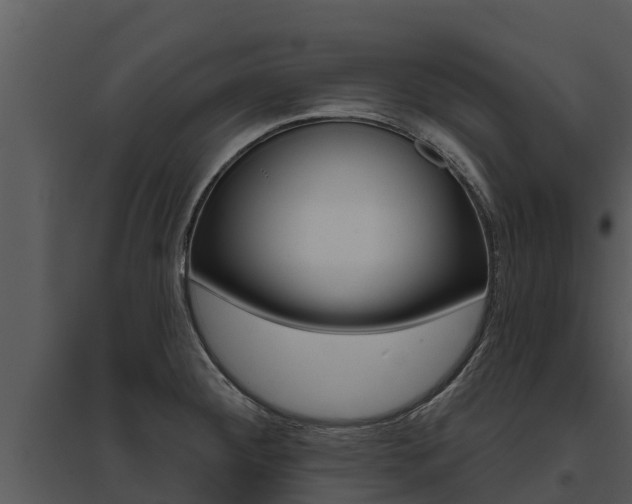 X0000095681284200801081054