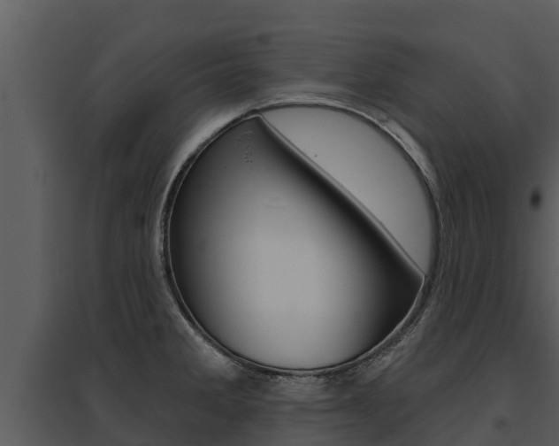 X0000095681285200801081054