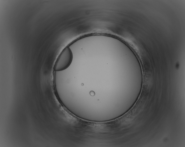 X0000095681287200801081054