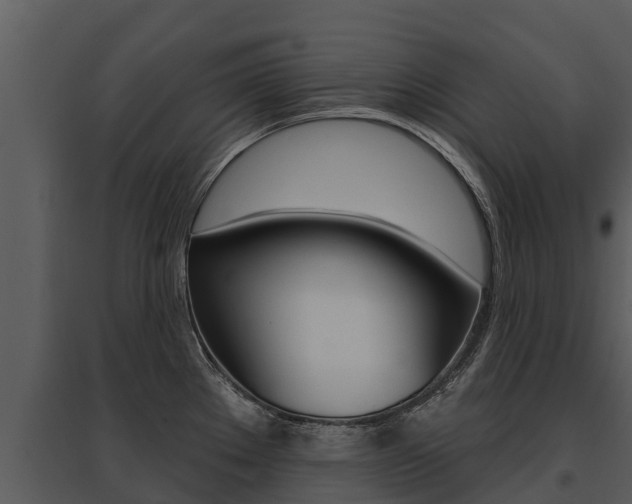 X0000095681289200801081054