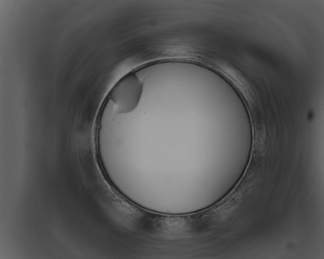 X0000095681291200801081054