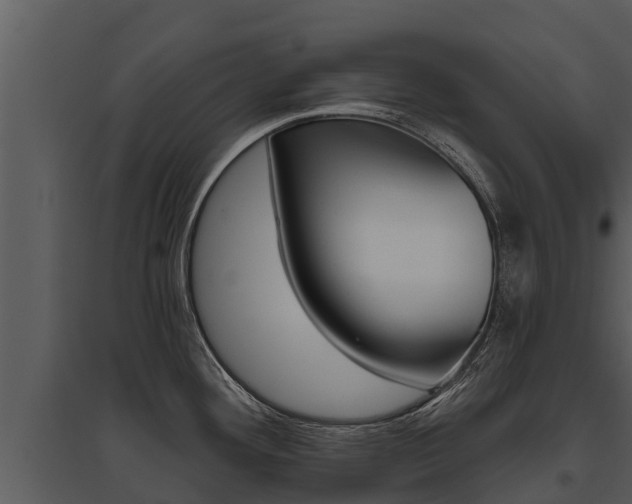 X0000095681292200801081054