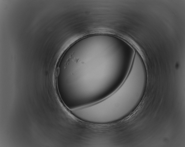X0000095681293200801081054