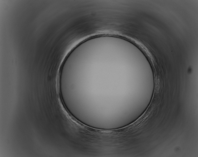X0000095681295200801081054