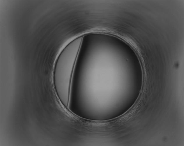 X0000095681296200801081054