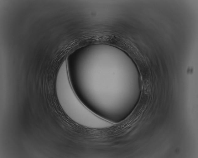 X0000095681298200801081053