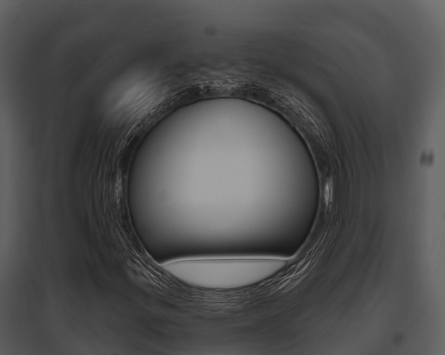 X0000095681299200801081053
