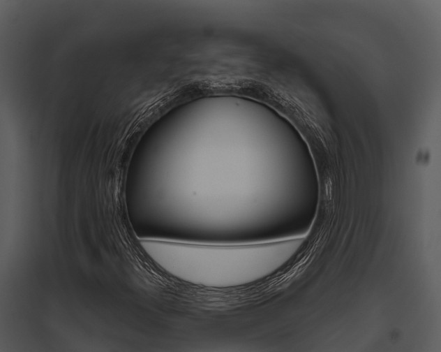 X0000095681300200801081053