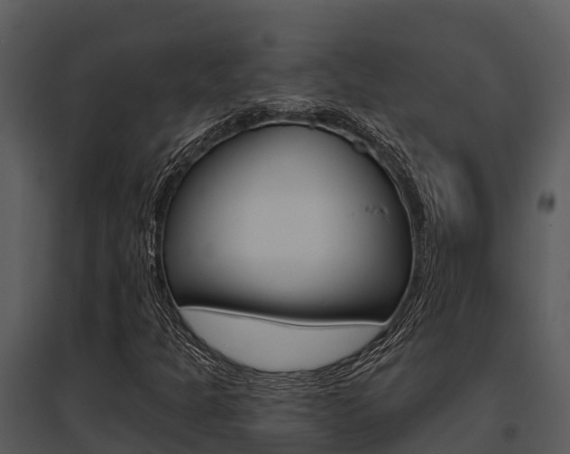X0000095681301200801081053