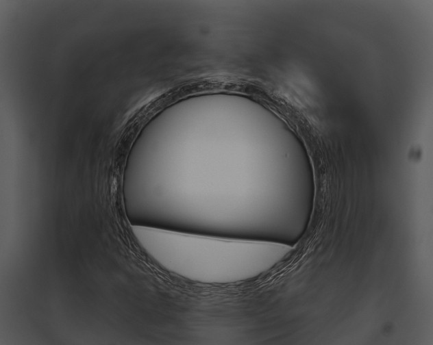 X0000095681302200801081053