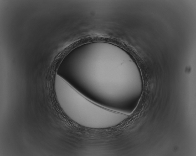 X0000095681303200801081053