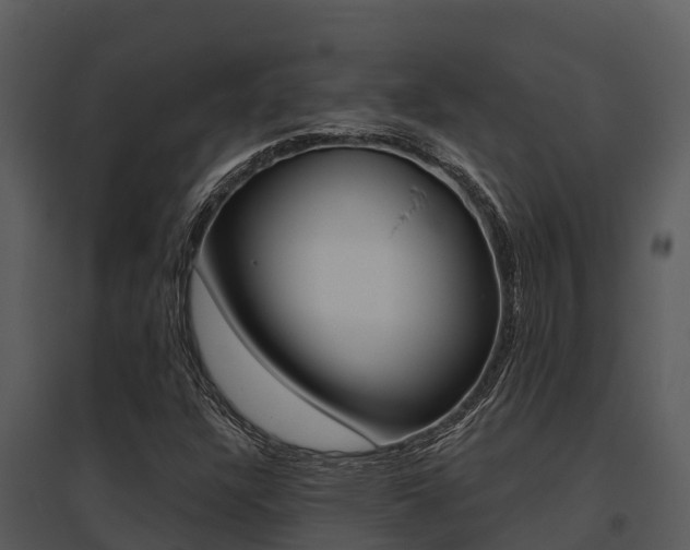 X0000095681304200801081053