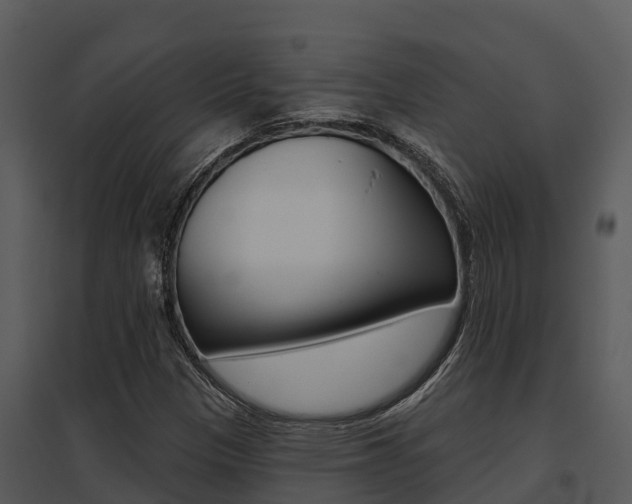 X0000095681305200801081053