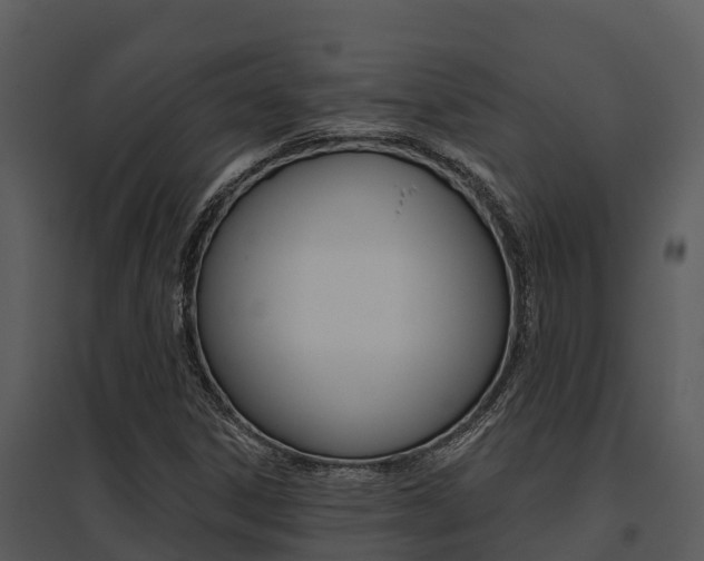 X0000095681306200801081053