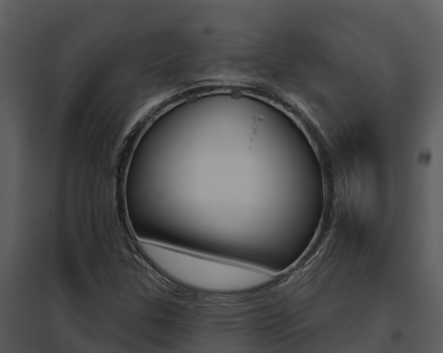 X0000095681307200801081053