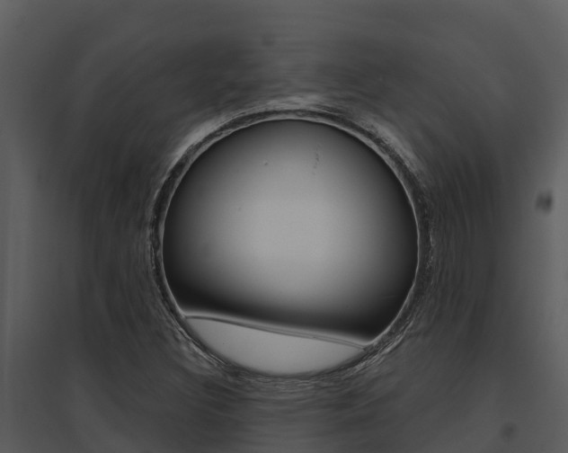 X0000095681308200801081054