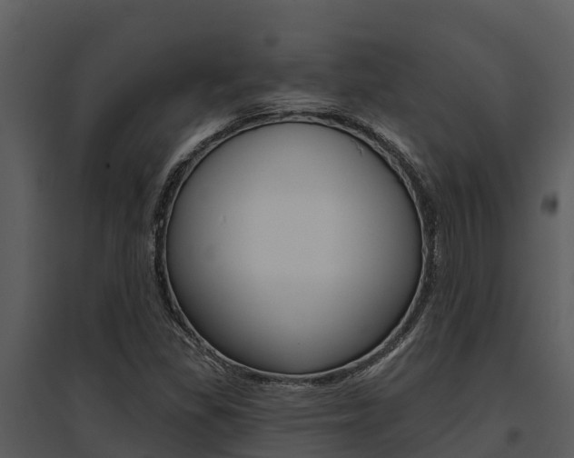 X0000095681309200801081054