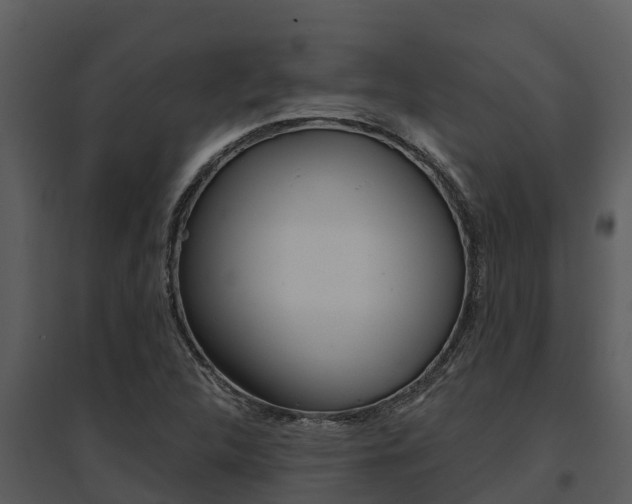 X0000095681312200801081054