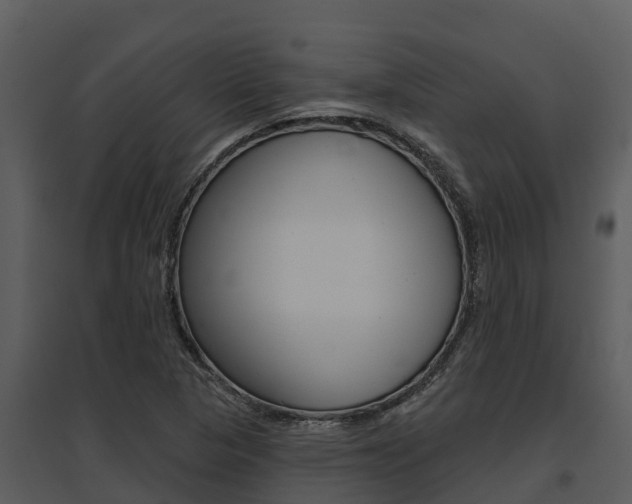 X0000095681313200801081054