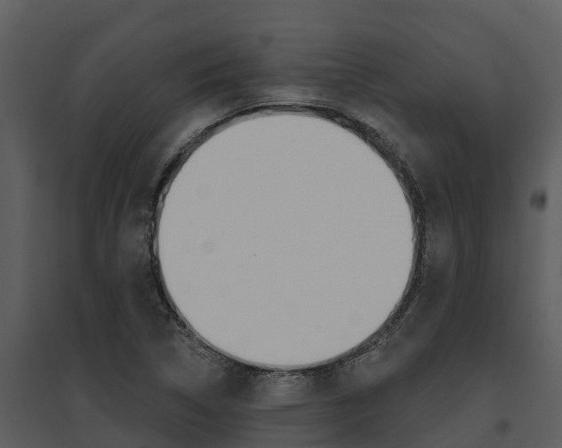 X0000095681314200801081054