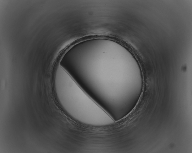 X0000095681315200801081054