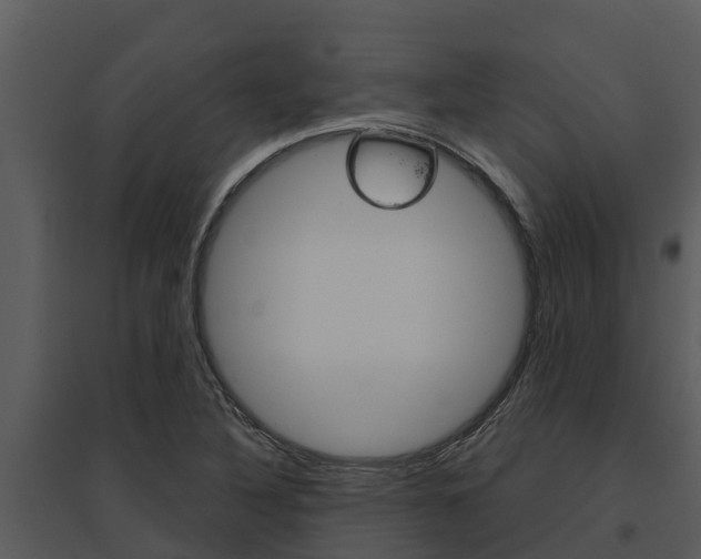 X0000095681316200801081054