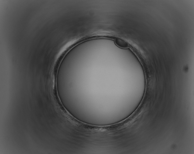 X0000095681317200801081054