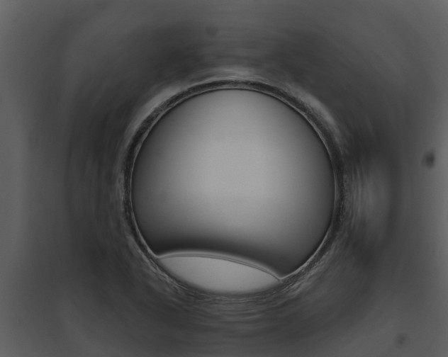 X0000095681318200801081054