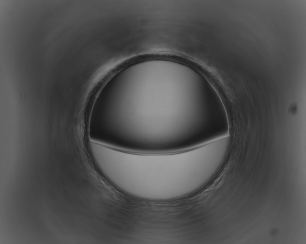X0000095681319200801081054