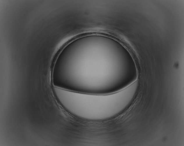 X0000095681320200801081054