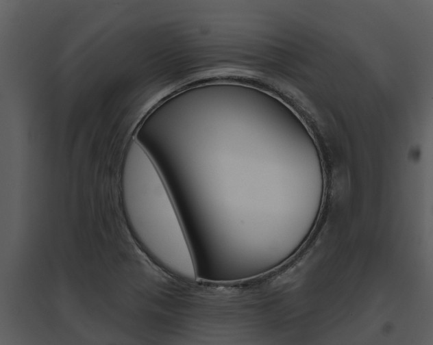 X0000095681321200801081054