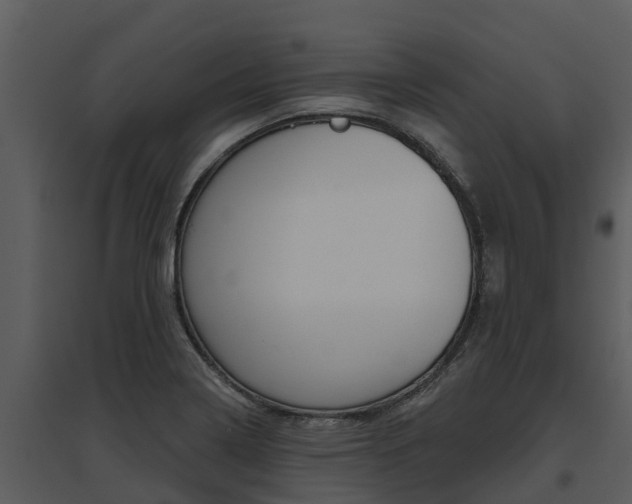 X0000095681322200801081054