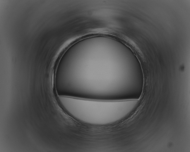X0000095681323200801081054