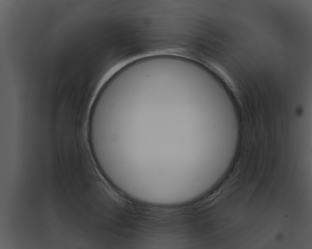 X0000095681324200801081054