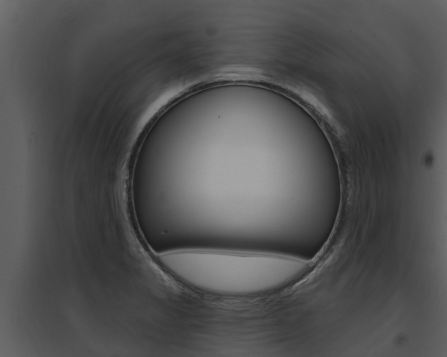 X0000095681325200801081054