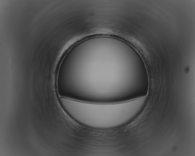 X0000095681326200801081054