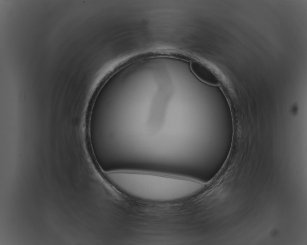 X0000095681327200801081054