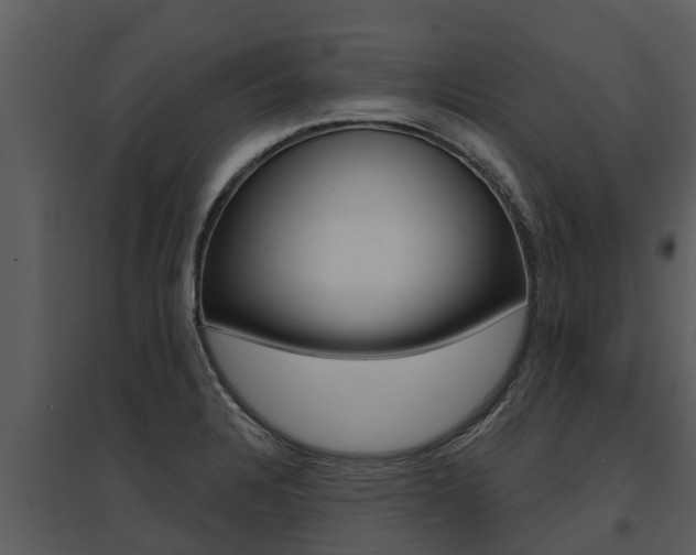 X0000095681328200801081054