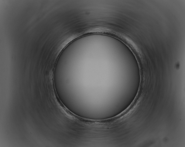 X0000095681329200801081054