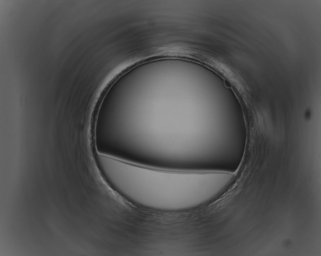 X0000095681331200801081054