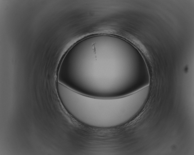 X0000095681332200801081054
