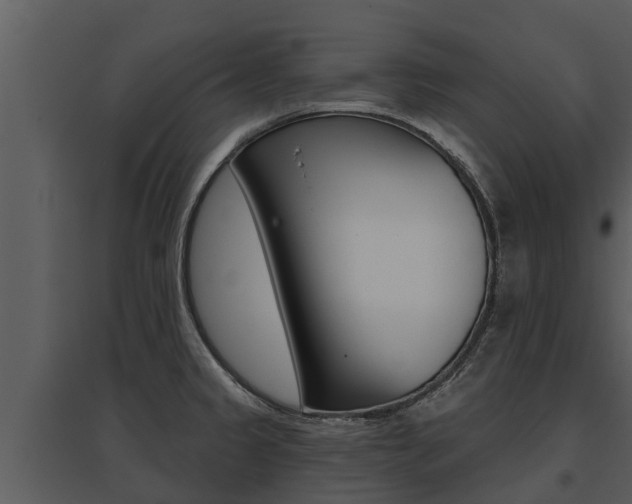 X0000095681333200801081054