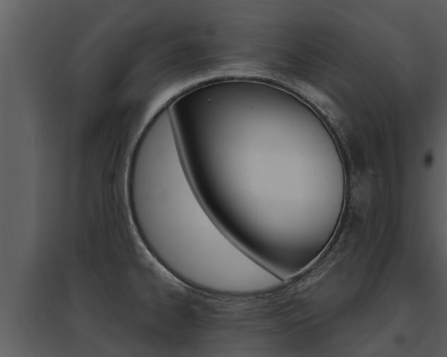 X0000095681334200801081054