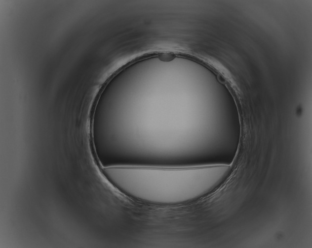 X0000095681335200801081054