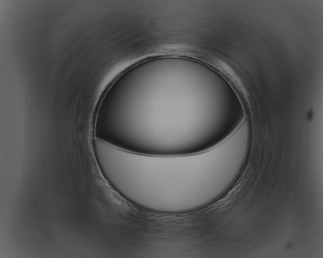 X0000095681336200801081054